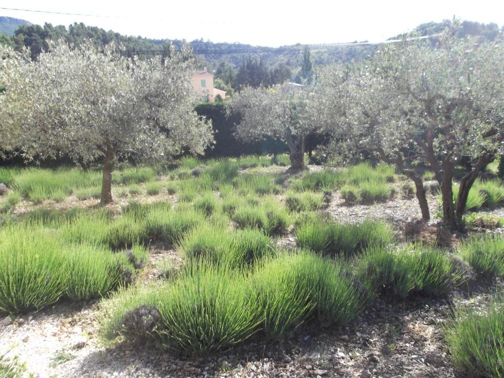 La Serenade Buis-les-Baronnies Kültér fotó